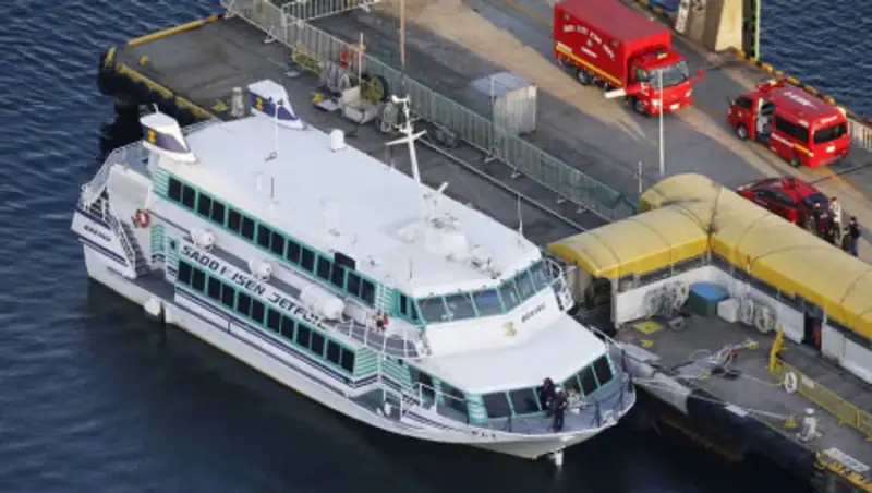 Скоростной катер врезался в кита в Японском море