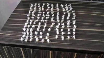 Zakon.kz, фото - Новости Zakon.kz от 06.08.2015 21:18