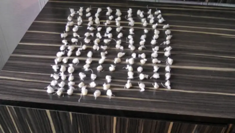 136 доз героина изъяли полицейские у семьи наркоторговцев в Рудном