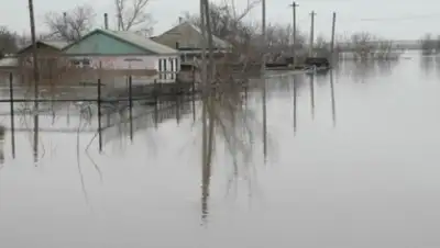 Zakon.kz, фото - Новости Zakon.kz от 02.05.2015 16:20