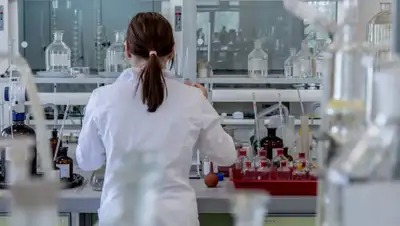 Pixabay, фото - Новости Zakon.kz от 09.06.2020 15:37