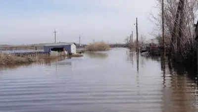 Zakon.kz, фото - Новости Zakon.kz от 13.04.2015 21:40