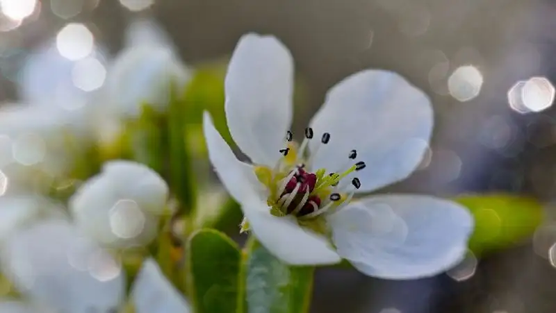 Казахстанцам из западных регионов больше повезет с погодой 25 марта