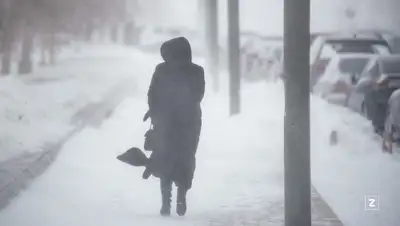 зима, фото - Новости Zakon.kz от 06.02.2022 22:01