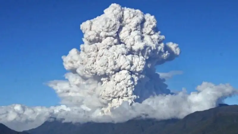 Ученые раскрыли секрет массового вымирания морских существ в 252 млн лет назад