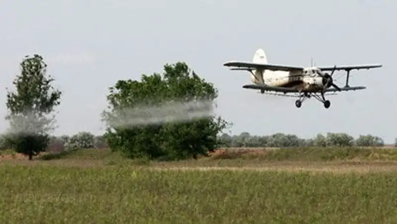 Для обработки земель против саранчи в Костанайской области привлекут 11 самолетов