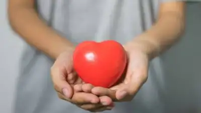 pixabay.com, фото - Новости Zakon.kz от 25.05.2021 10:16