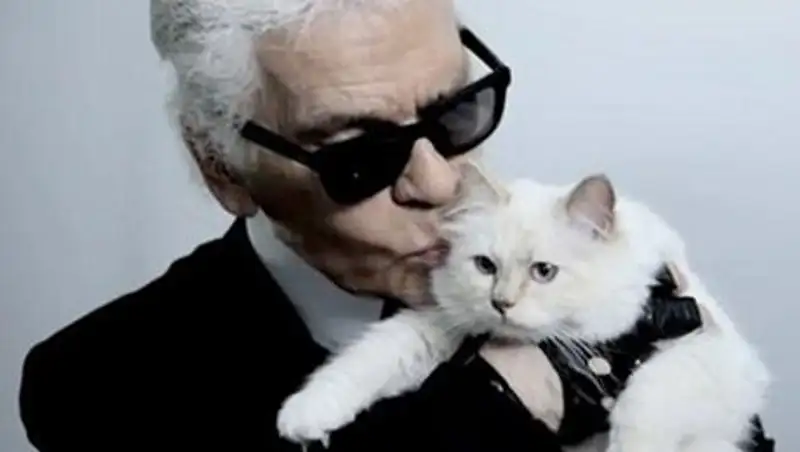 Про кошку Карла Лагерфельда написали книгу