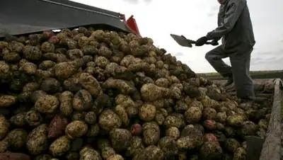 Zakon.kz, фото - Новости Zakon.kz от 13.06.2016 21:37