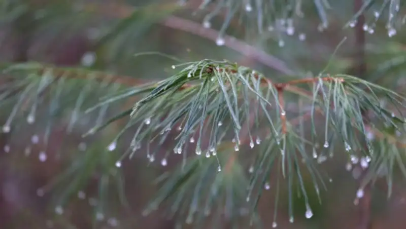 Чего ждать от погоды 22 мая в Казахстане