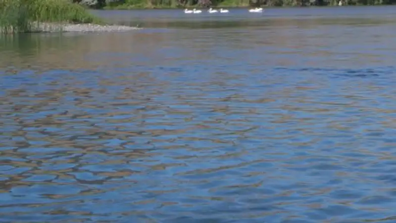 Ертіс ауданында 18 жастағы ер бала суға батып кетті 