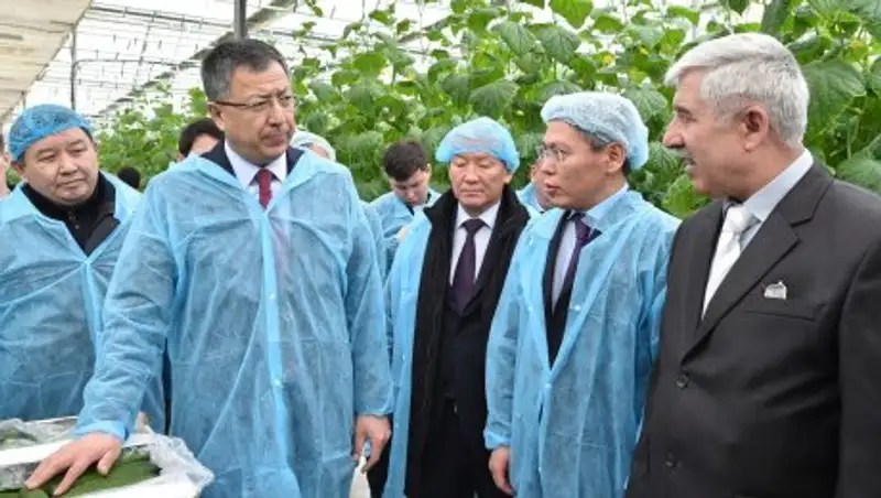 О&#1178;О-да шаруаларды жа&#1187;а к&#601;сіпке баулу ж&#1201;мыстары басталды