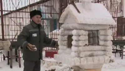 Zakon.kz, фото - Новости Zakon.kz от 12.01.2014 23:18