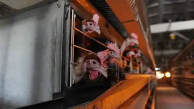 24.kz, фото - Новости Zakon.kz от 01.10.2020 11:59