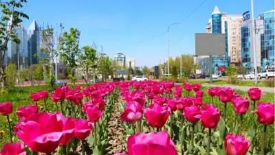 Алматы, строительство , фото - Новости Zakon.kz от 14.04.2022 17:11