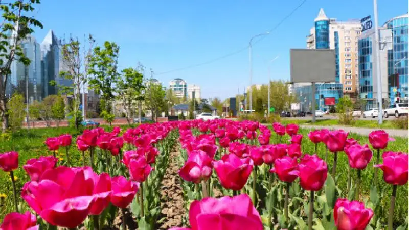 Досаев рассказал, как будут решать проблему нехватки земли в Алматы