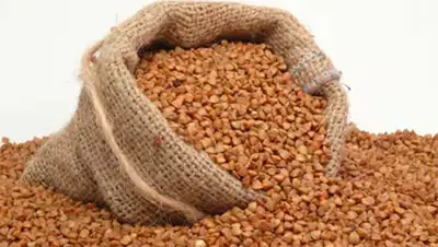 Zakon.kz, фото - Новости Zakon.kz от 15.11.2014 20:26