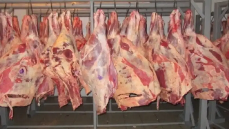Минсельхоз выполняет только половину плана по экспорту говядины в Россию