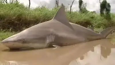 Zakon.kz, фото - Новости Zakon.kz от 30.03.2017 23:07