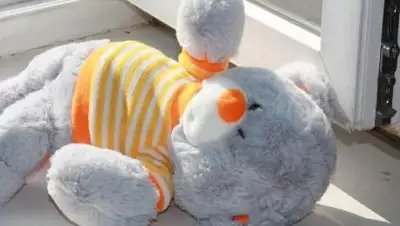 Zakon.kz, фото - Новости Zakon.kz от 22.10.2017 14:10