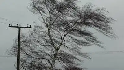 Zakon.kz, фото - Новости Zakon.kz от 24.07.2015 00:04