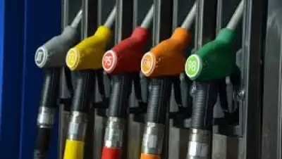 Zakon.kz, фото - Новости Zakon.kz от 21.04.2015 16:13