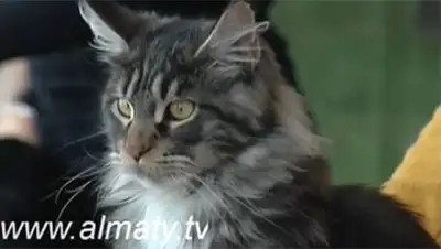 Zakon.kz, фото - Новости Zakon.kz от 26.02.2014 16:51