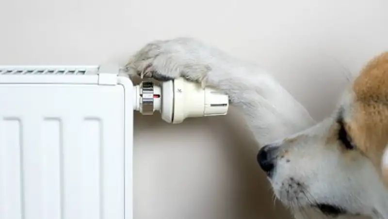 Когда в домах Алматы подключат отопление