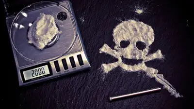 Pixabay, фото - Новости Zakon.kz от 21.10.2019 16:42