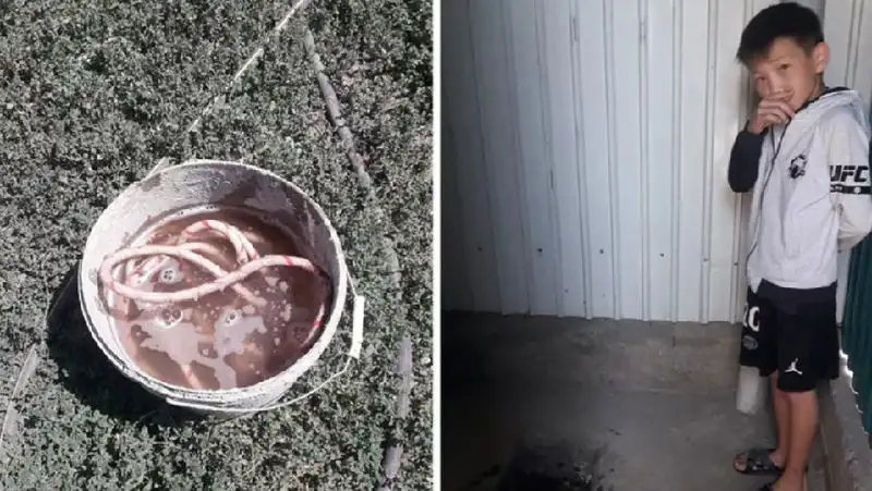 Маленький герой вытащил трехлетнюю девочку из выгребной ямы на окраине Алматы