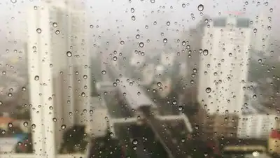 pxhere.com, фото - Новости Zakon.kz от 05.04.2021 16:26