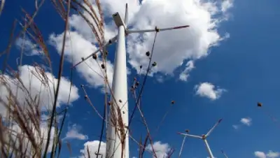 Zakon.kz, фото - Новости Zakon.kz от 31.01.2015 22:03