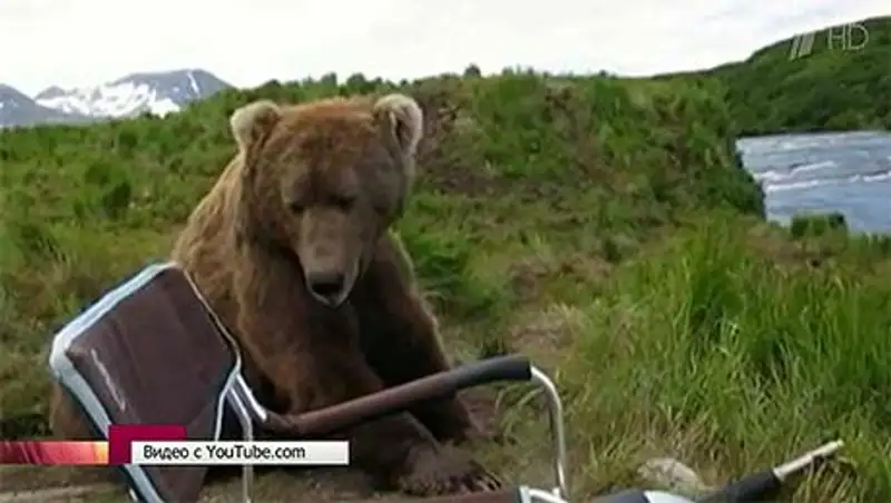 Незабываемые интернет-хиты этого лета