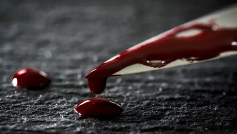 Школьные разборки в Павлодаре закончились поножовщиной