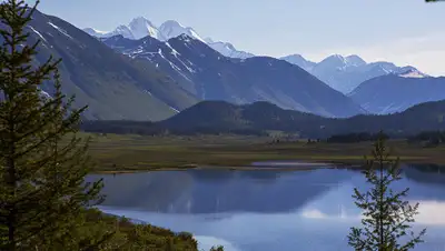 ru.sputniknews.kz, фото - Новости Zakon.kz от 16.07.2019 15:27