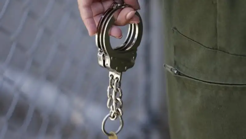 Особо опасного преступника экстрадировали из Грузии в Астану