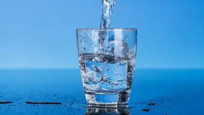 life777.kz, фото - Новости Zakon.kz от 26.03.2018 17:22