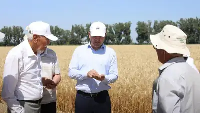 Алматинская область АПК, фото - Новости Zakon.kz от 24.07.2022 15:28