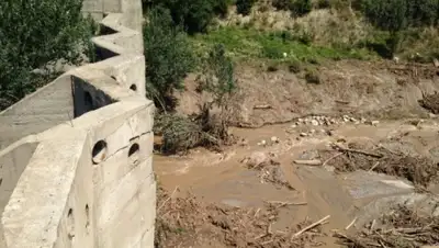 Zakon.kz, фото - Новости Zakon.kz от 27.07.2015 20:55