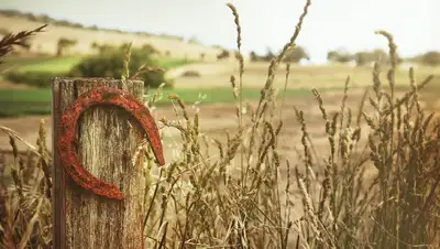 гороскоп талисманы, фото - Новости Zakon.kz от 07.02.2022 09:45