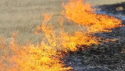 Zakon.kz, фото - Новости Zakon.kz от 19.08.2014 15:13