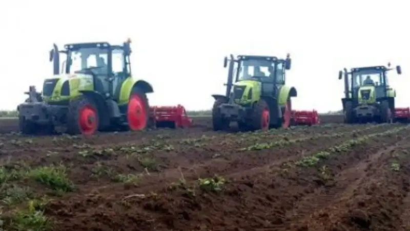 Павлодарлы&#1179; к&#1241;сіпкер картопты&#1187; жа&#1187;а &#1199;ш т&#1199;рін &#1257;сіруді &#1179;ол&#1171;а алды