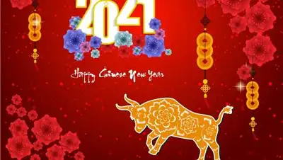 Getty Images - Getty, фото - Новости Zakon.kz от 15.12.2020 16:28