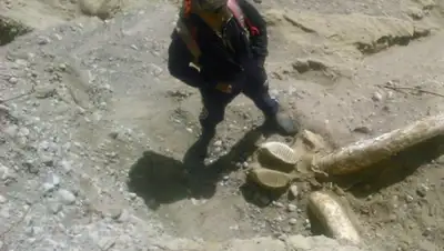 Zakon.kz, фото - Новости Zakon.kz от 15.03.2016 22:03