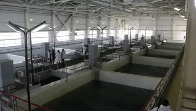 Zakon.kz, фото - Новости Zakon.kz от 05.02.2019 17:24