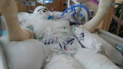 страница Brandi Owens в Facebook, фото - Новости Zakon.kz от 23.08.2018 07:39