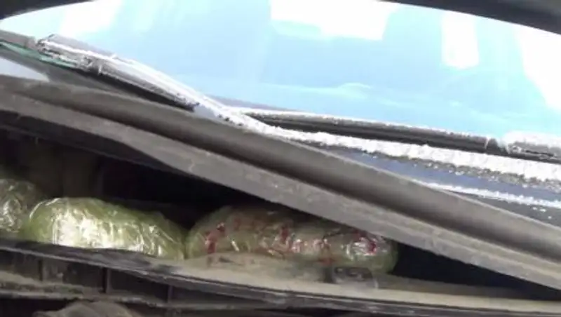 Почти 2 кг гашиша изъяли жамбылские полицейские