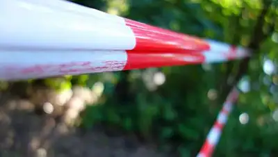 pixabay.com, фото - Новости Zakon.kz от 16.08.2021 12:56