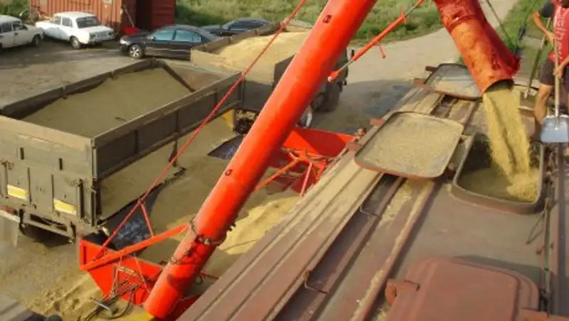 80 компаний Акмолинской области ориентированы на экспорт