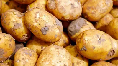 В Карагандинской области снизили цену на картошку сразу на 30%, фото - Новости Zakon.kz от 07.04.2023 11:41